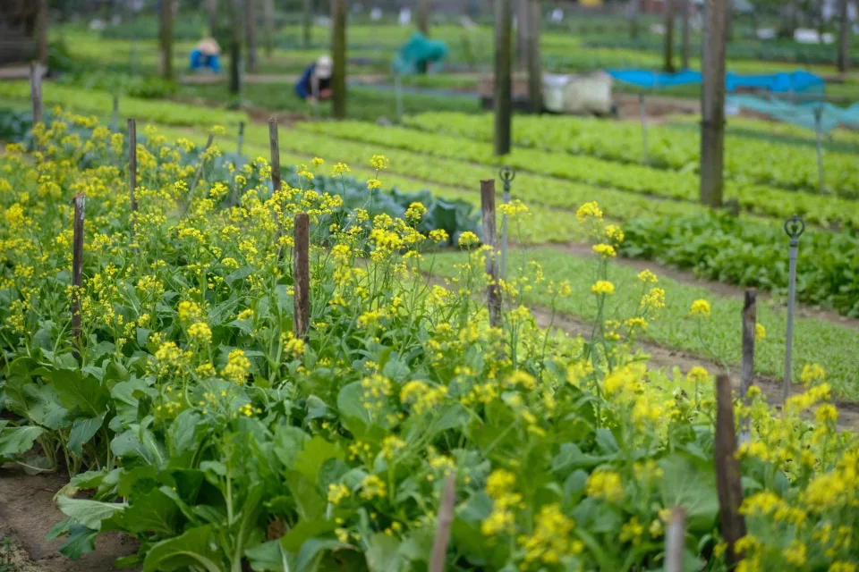 Lớp tập huấn buổi tối